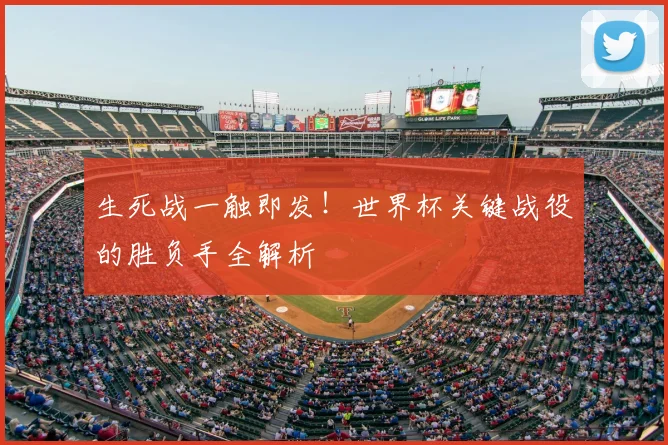 生死战一触即发！世界杯关键战役的胜负手全解析